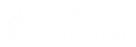 SURGE 2